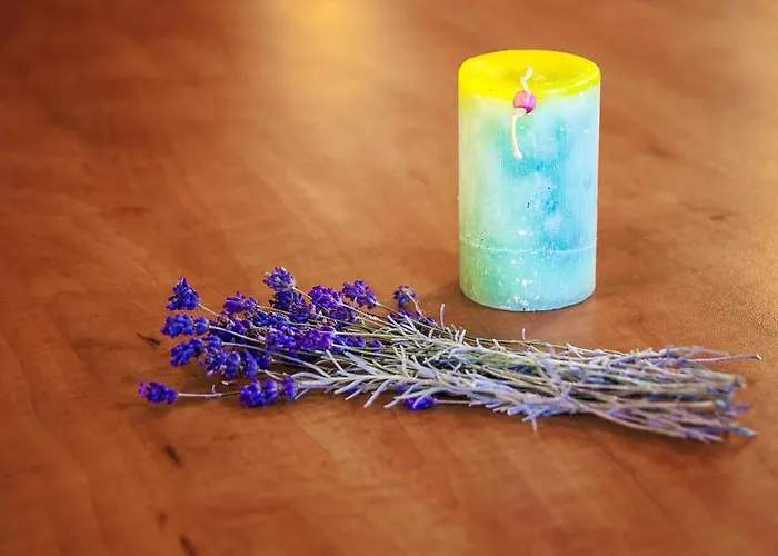 プラザ 3* ヴァルナ